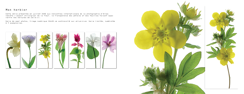 My bookphotoservice3